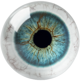 Captez l’attention dès le premier clic